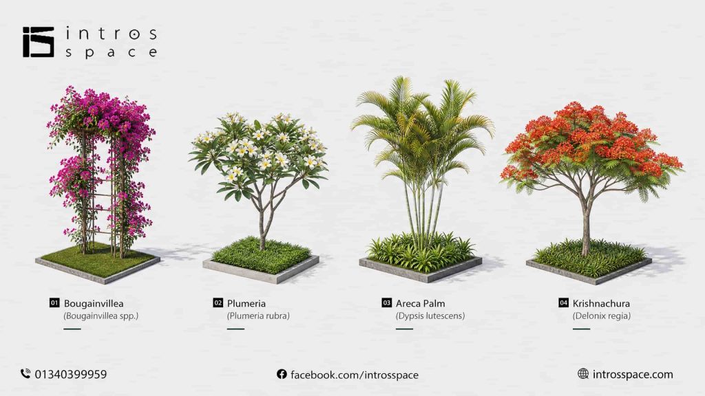 Top Landscape Design Company In Bangladesh introsspace intros space