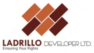 Ladrillo Developer Ltd worked with Introsspace for real estate and construction design